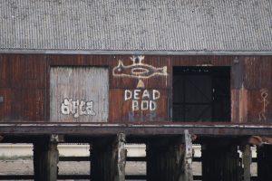 Born and Raised's Creative Director, Bew Knox, tells the story of Hull's Dead Bod