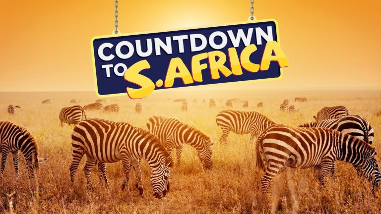 Gamified sales incentive for Royal Caribbean – Countdown to South Africa - website - by Born and Raised