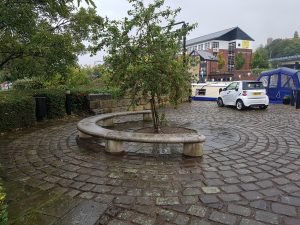 Tree in Victoria Quays