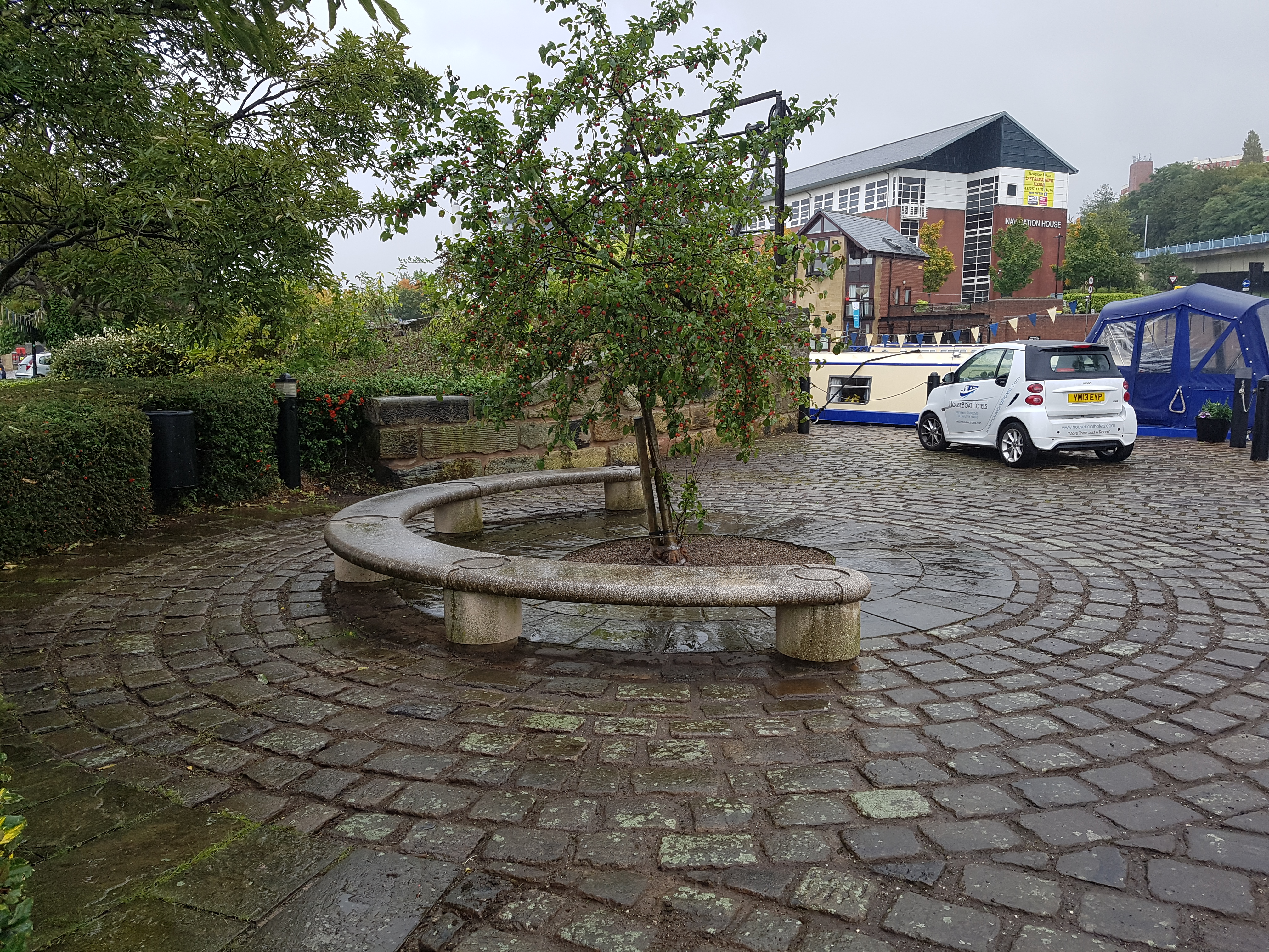 Tree in Victoria Quays