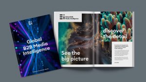 EI brochure visuals